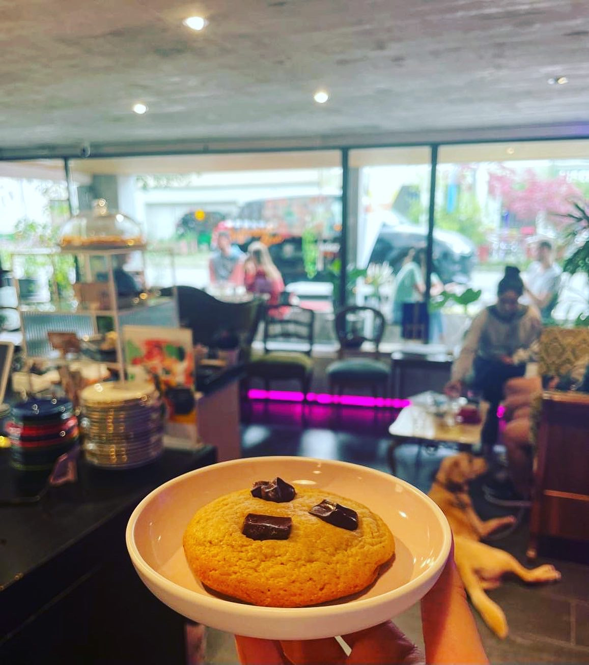 Kaffee in Zürich: unser Showroom in Oerlikon