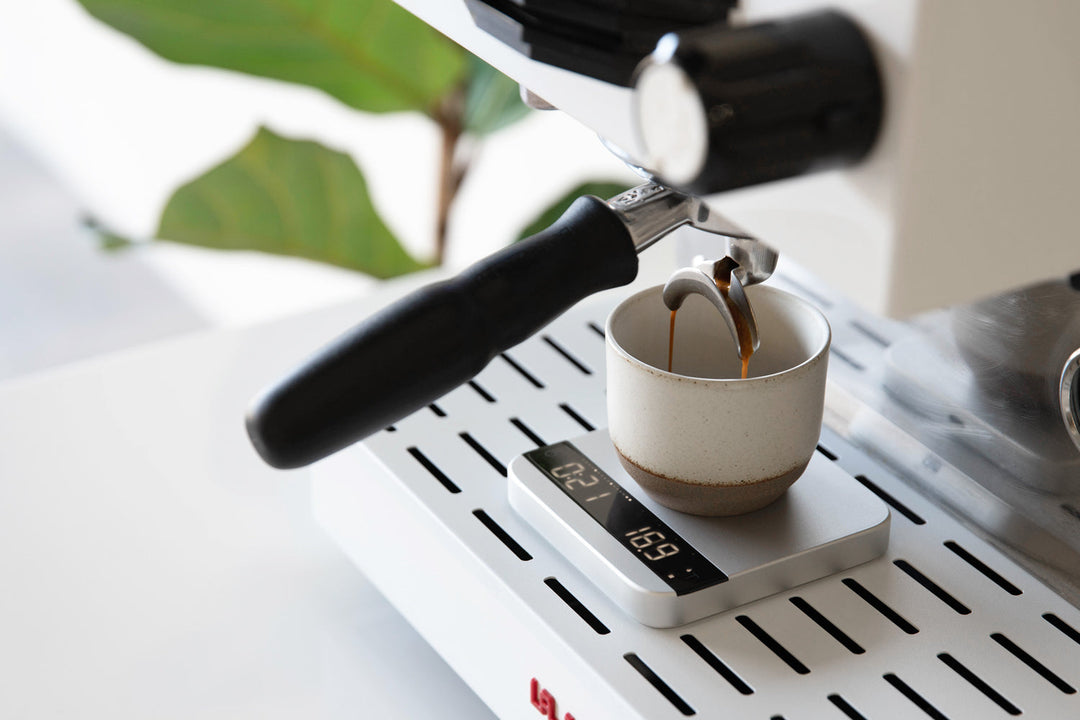 Acaia Lunar 2021 Bilancia da Espresso Argento - Coffee Coaching Club