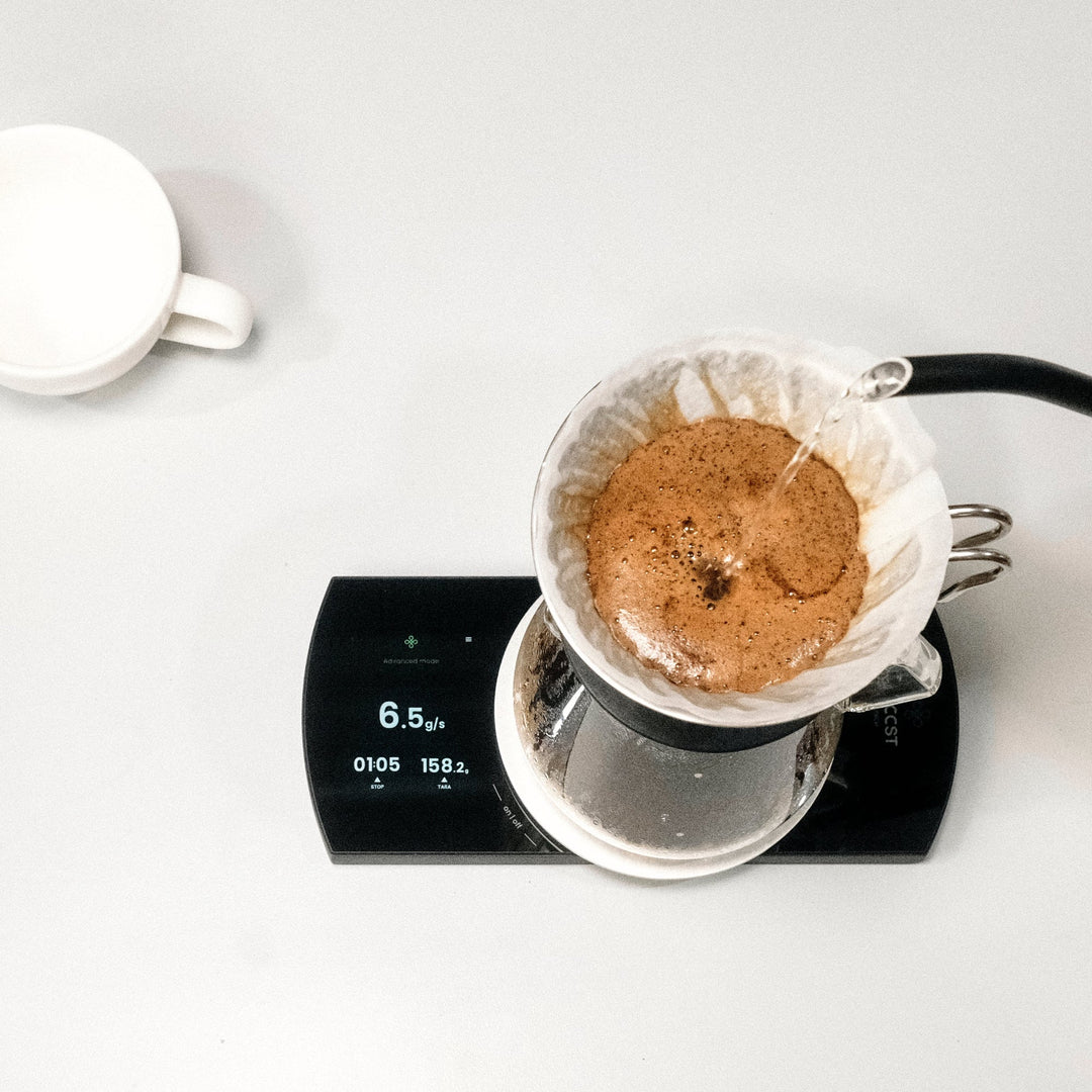 V60-Brewing auf der NECCST Scale mit Live-Flussrate