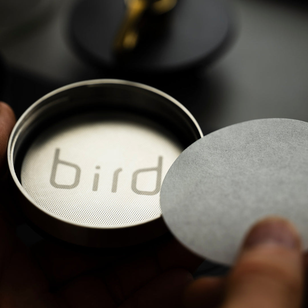 Weber Workshops x Sibarist BIRD Papierfilter – Coffee Coaching Club 3