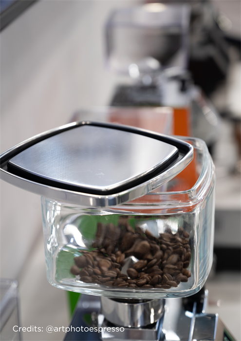 Eureka Bohnenbehälter Glas 550g - Coffee Coaching Club