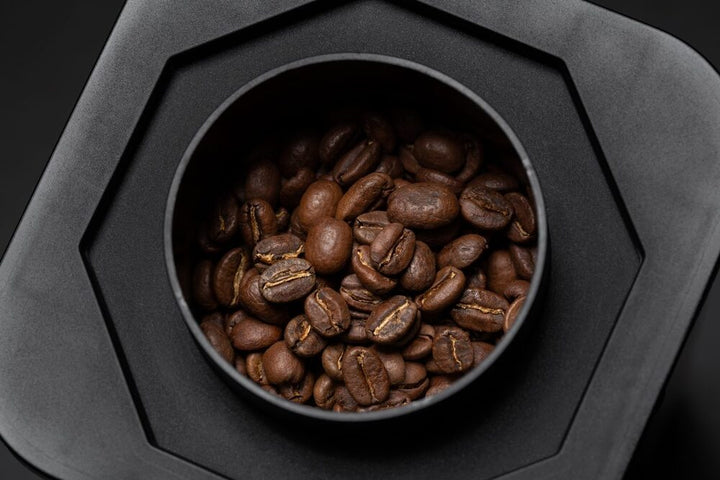 Kaffelogic Nano 7 Kaffeeröster - Coffee Coaching Club